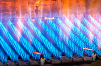 Little Shrewley gas fired boilers